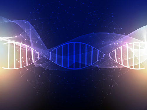 DNA甲基化之MeDIP-Seq