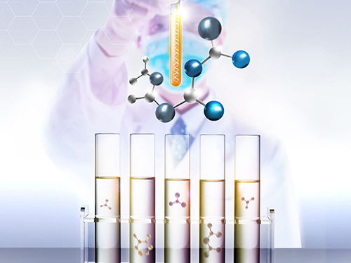 基于DNA barcode进化分析